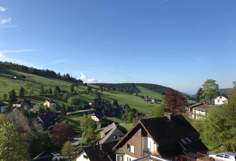 Апартаменты 1 Спальня с Балконом, Pension Glöcklehof