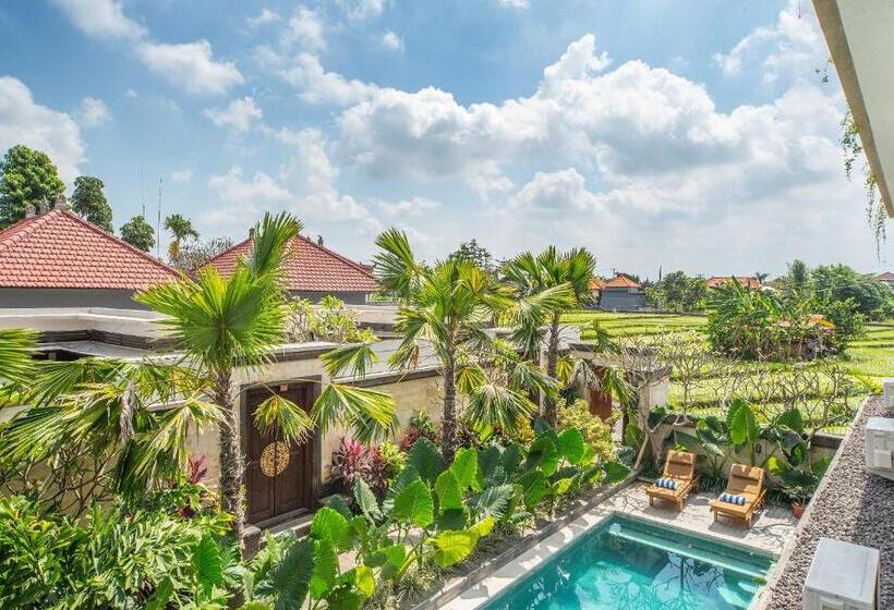 Вилла с 1 спальней и бассейном, Puri Canggu Villas & Rooms