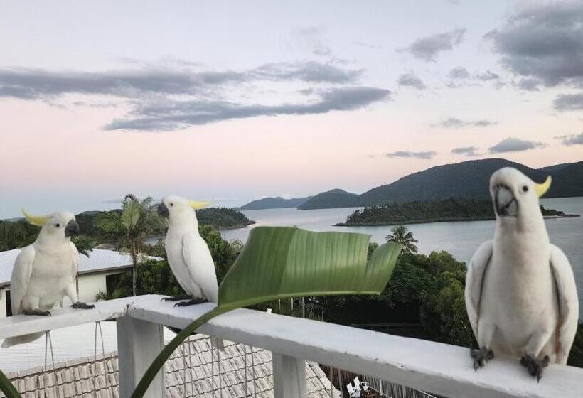 Номер Стандарт Вид на Море, The Haven View   Airlie Beach
