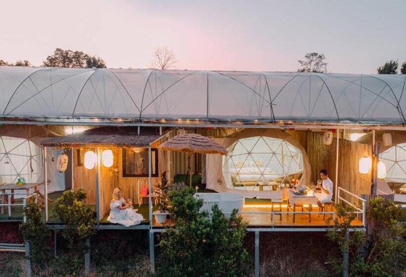 اتاق استاندارد, Paopao Orange Farm And Home Stay