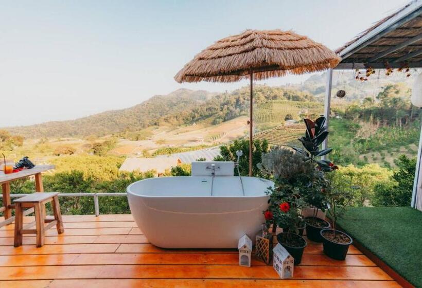 اتاق استاندارد, Paopao Orange Farm And Home Stay