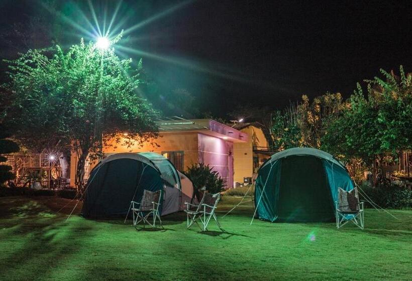 چادر با خدمات رفاهی استاندارد, Greenfield Farmstay
