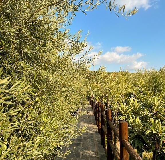 اتاق سوپریور, Terre Villa Katia
