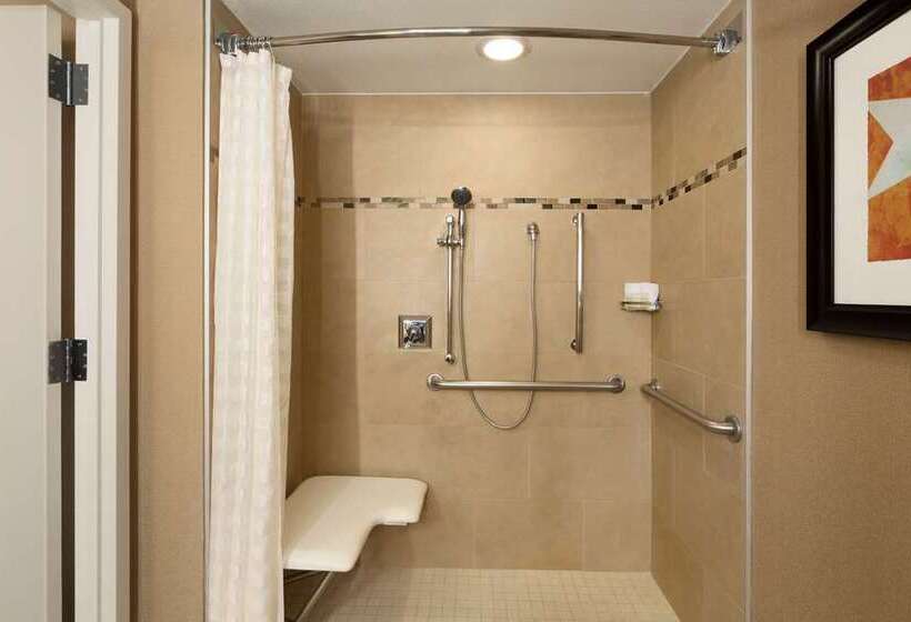 Люкс, Home2 Suites By Hilton Houston Webster