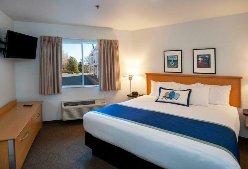 Представительский люкс с видом, South Pier Inn