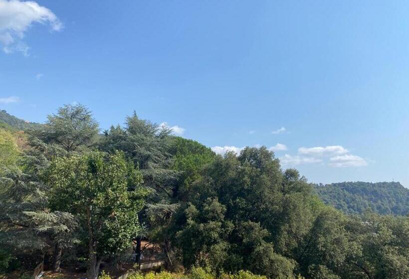 Студия Стандарт, Domaine Des Anges 2