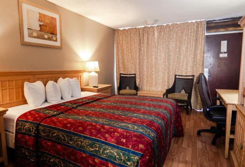 带大床的套房, G T Hotels Inn & Suites Extended Stay