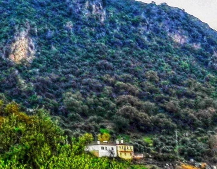 Номер Стандарт, La Buhardilla De Torrecillas