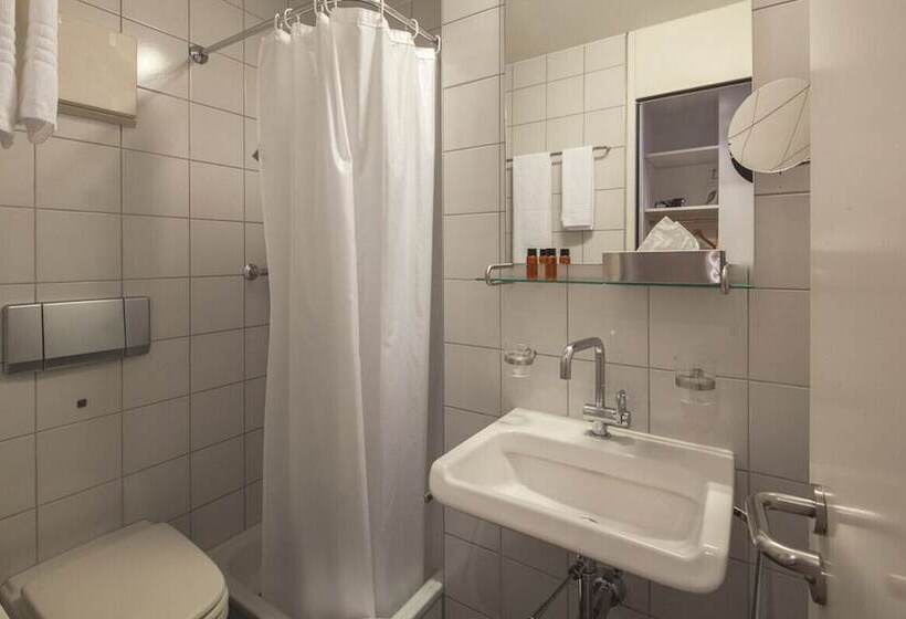 غرفة كلاسيكية, Baseltor Hotel & Restaurant