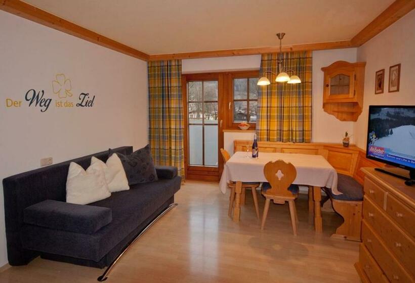 Апартаменты 1 Спальня с Террасой, Activ Wellness   Appartement Schermerhof