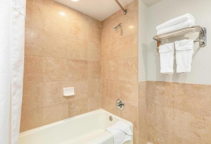 استودیو استاندارد با تخت کینگ, Castle At Palms At Waikīkī