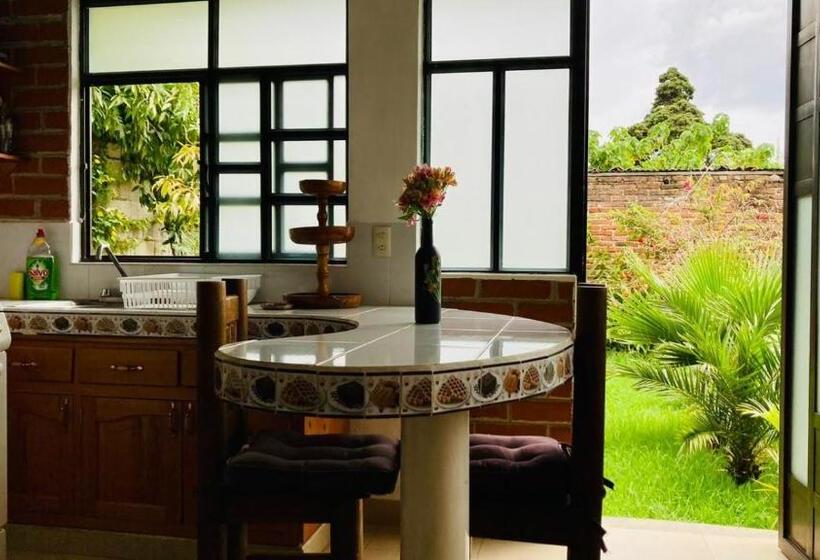 آپارتمان 1 خوابه با چشم‌انداز باغ, Casa Flor De Vida