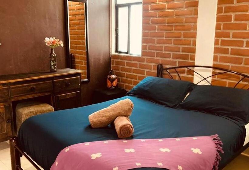 آپارتمان 1 خوابه با چشم‌انداز باغ, Casa Flor De Vida