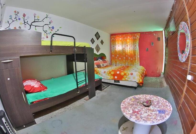 Четырехместный Номер Economy, Casita Del Arbol Hostel