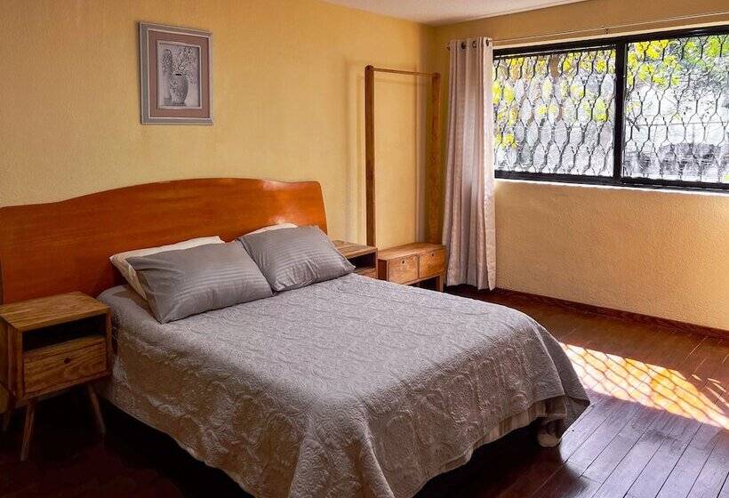 スタンダードルーム, Discover Condesa Ideal Location