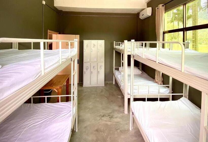 Кровать в Общей Комнате, Gar S Homestay