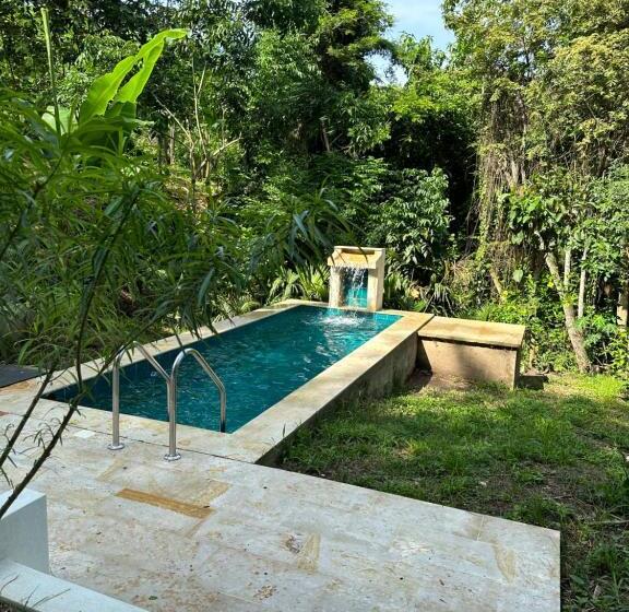 수피리어 스위트, Selva Serena