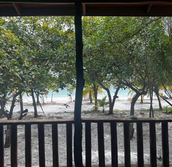 带海景标准四人间, Rafikis