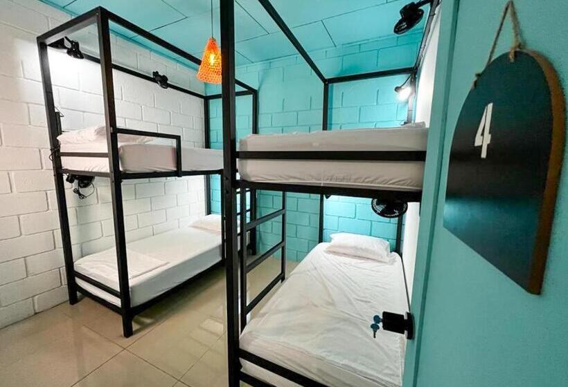 浴室共有スタンダード４人用ルーム, Lolas Hostal, Habitacion Exclusiva Para Mujeres, 2 Camarotes, Precio Por Cama