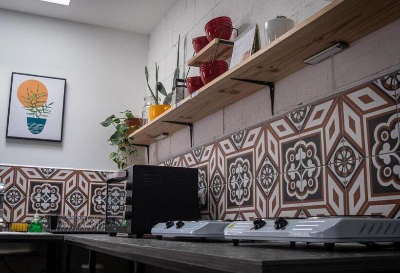 浴室共有スタンダード４人用ルーム, Lolas Hostal, Habitacion Exclusiva Para Mujeres, 2 Camarotes, Precio Por Cama