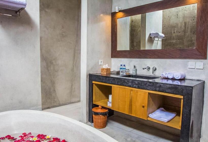 디럭스 룸, Nesara Villa