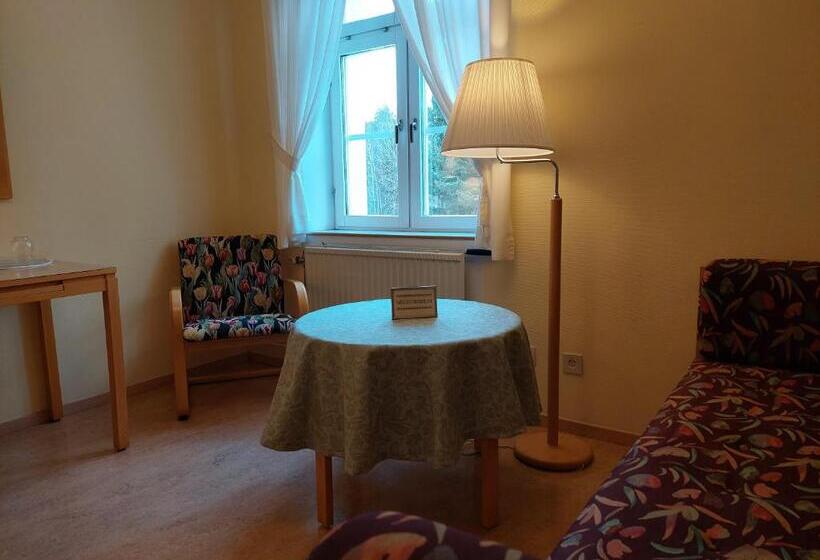Номер Стандарт, Birgittagården   Gästhem   Birgittasystrarna