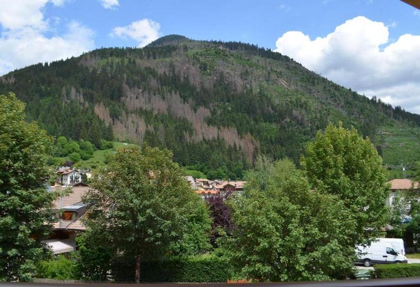 高级大房间, Aria Alpina Guest House Affittacamere