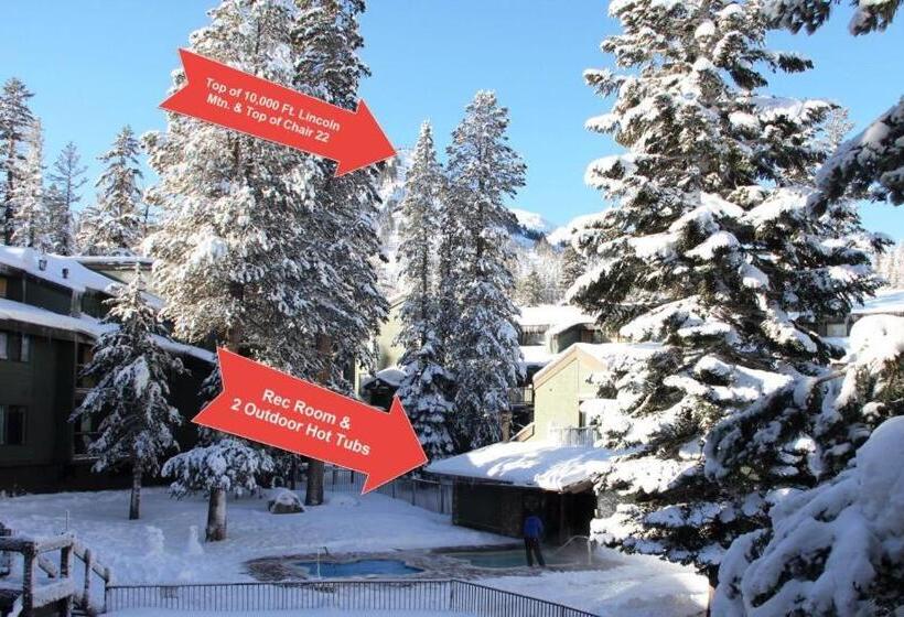 Апартаменты 1 Спальня, Cozy Ski Chalet   Only 120 Yds To Lift! King Bed