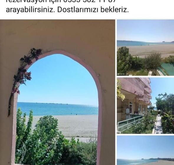 Номер Стандарт, Deni̇z Yildizi