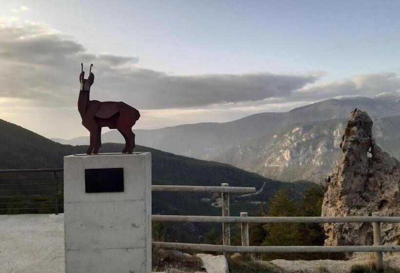 家庭间, Coll De Port