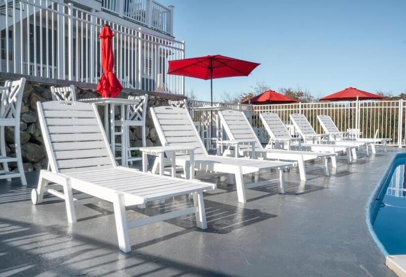 스탠다드 룸 바다 전망, 935 Ocean, A Beachside Inn