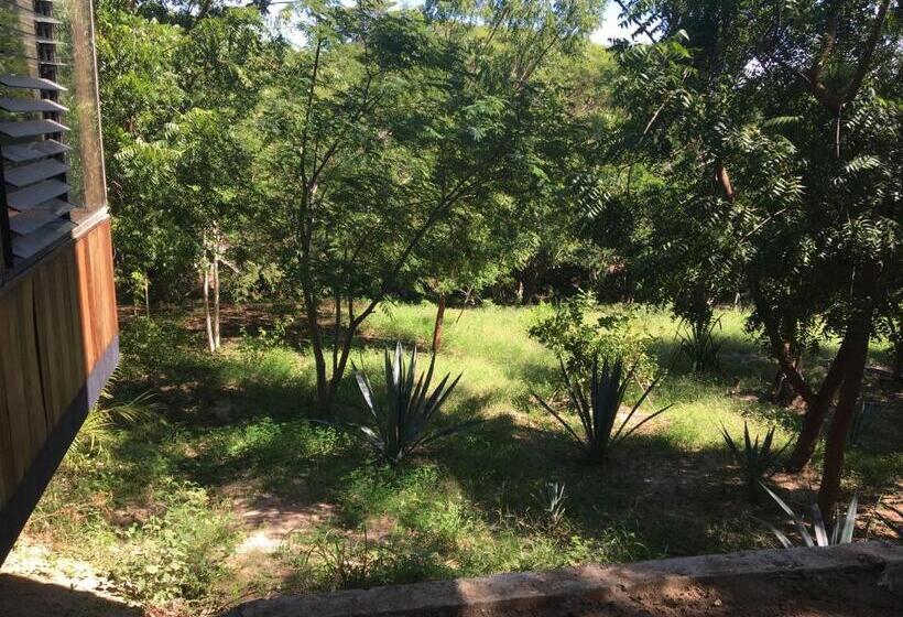 标准三人间, Room In House   Double Bed, Queen Size, Small Kitchen, Terrace, Wi Fi  Air Condition