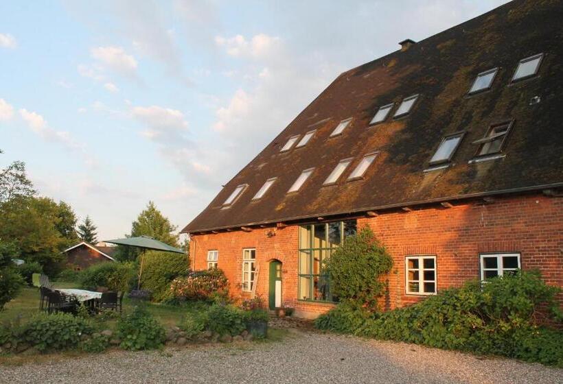 Номер Стандарт, Das Abendrote Haus