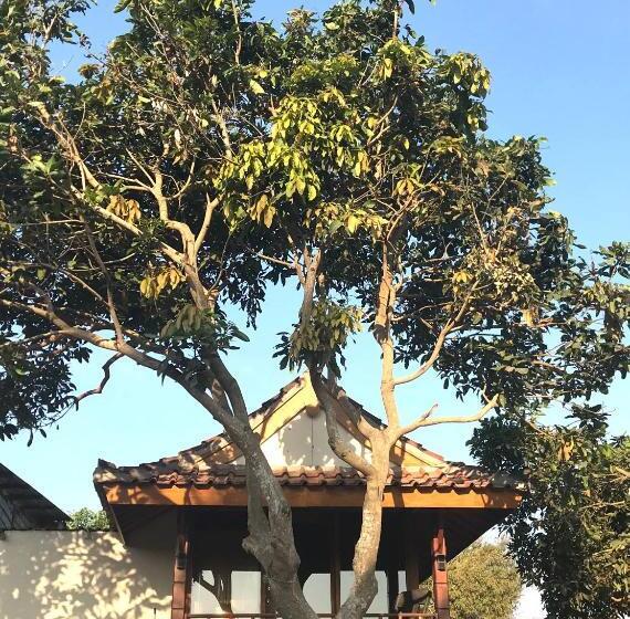 Номер Стандарт с Террасой, Muni S Lombok Bungalow