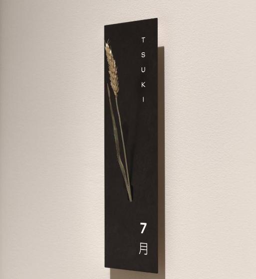 高级套房, Kodō