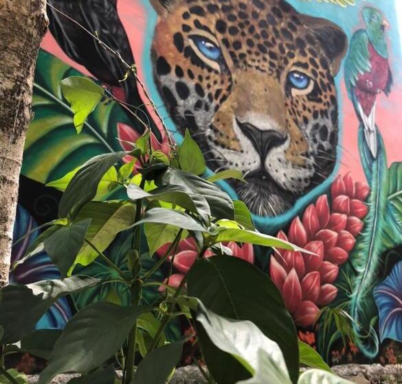 Apartamento 1 Dormitório Vista Jardim, Aldea Jaguar