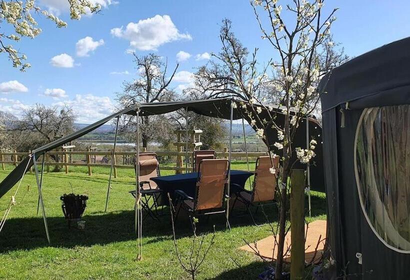 Семейный Номер Deluxe, Willow Hill Farm Club