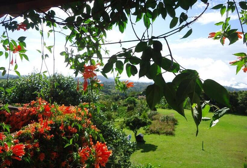Семейный Номер, Hostal Pachamama