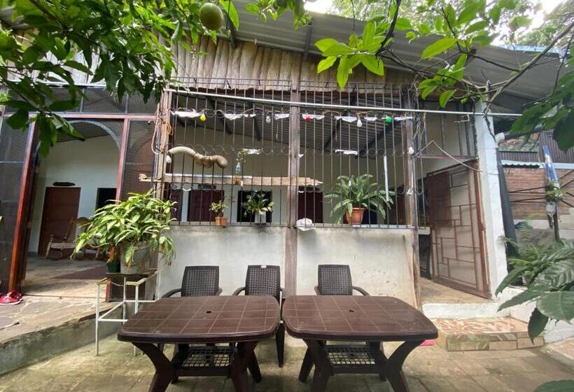 اتاق استاندارد, Hostal Café El Cedro
