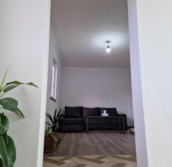 Студия Стандарт, Selina Guest House