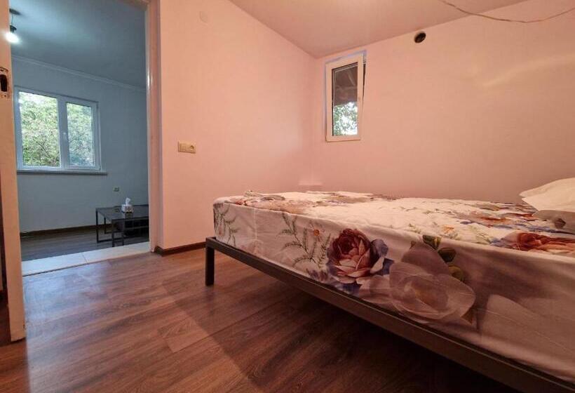 Студия Стандарт, Selina Guest House
