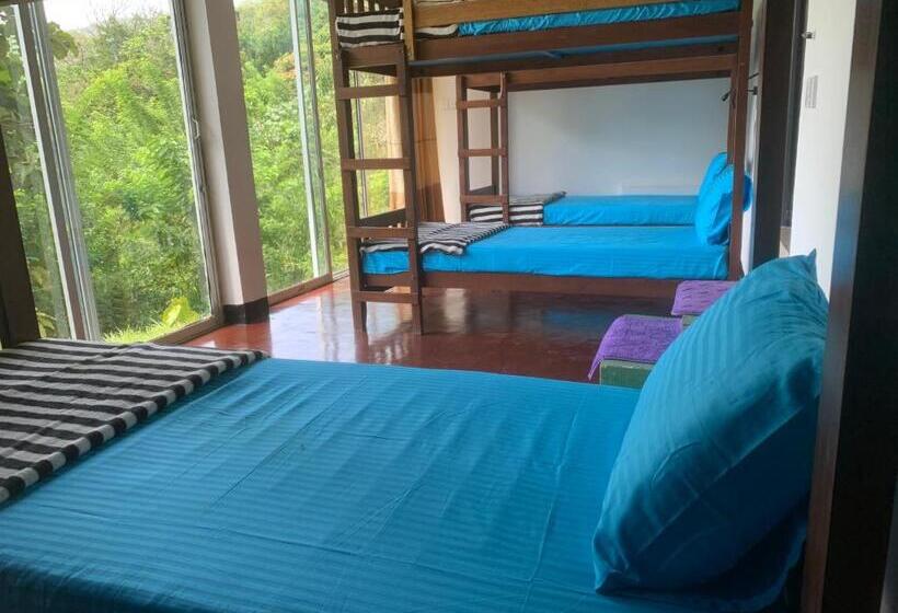 מיטה בחדר משותף, Paradise View Hostel