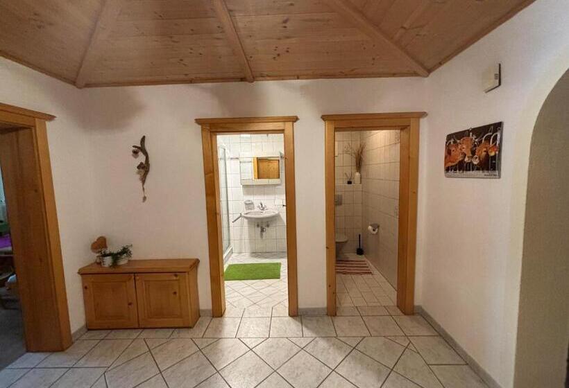 Апартаменты 1 Спальня, Zillerbruggerhof