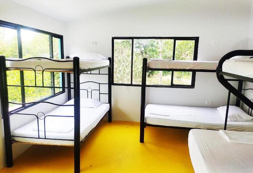 Кровать в Общей Комнате, Amalaya Hostel