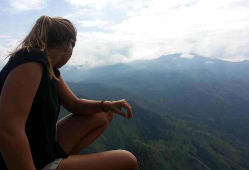 Номер Стандарт, Little Heaven Guest