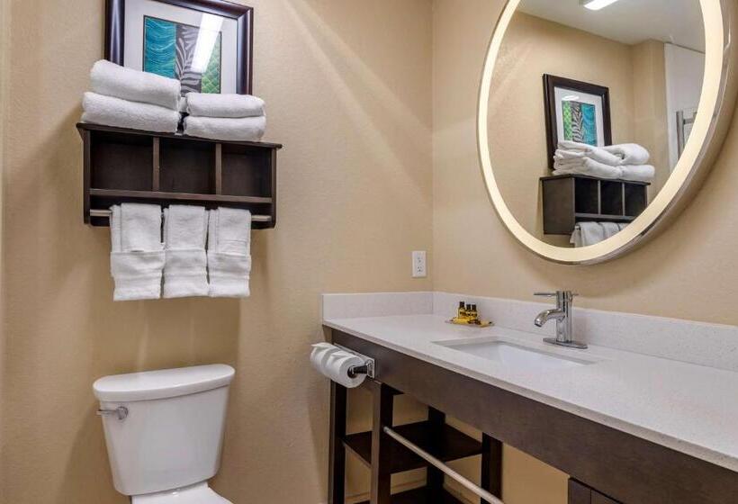 סוויטה נוף לים, Best Western Plus Galveston Suites