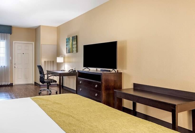 סוויטה נוף לים, Best Western Plus Galveston Suites