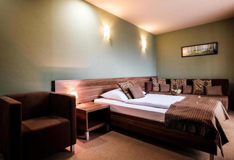 컴포트 싱글 룸, Comfort With Free Wellness And Fitness Centrum