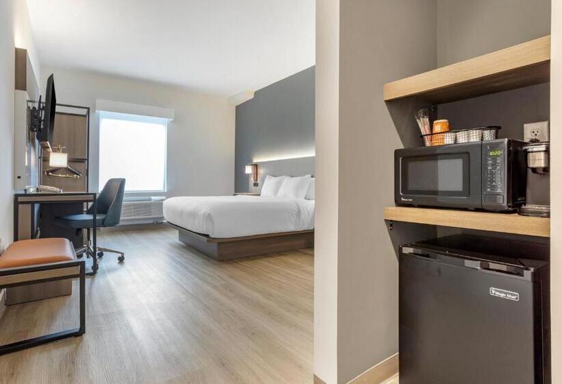 스탠다드 룸 킹사이즈 침대, Comfort Inn & Suites Newark Liberty International Airport