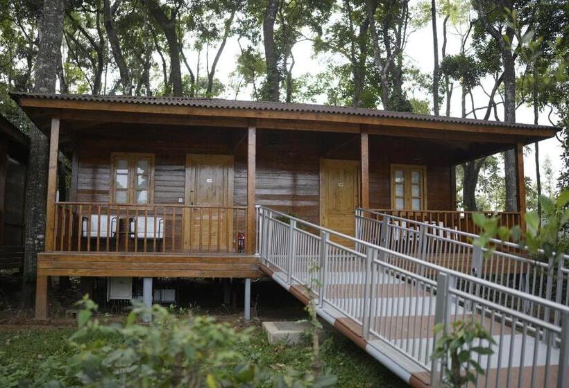 带大床的标准间, Regenta Resort Sakleshpur